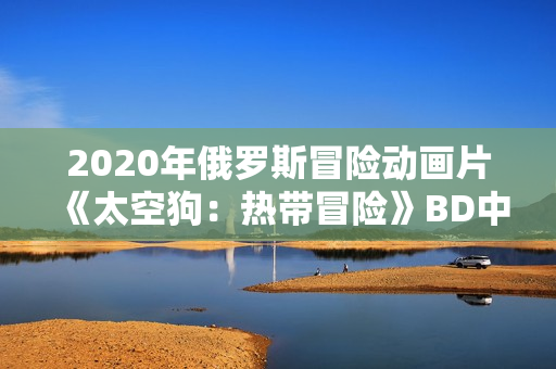 2020年俄罗斯冒险动画片《太空狗：热带冒险》BD中英双字