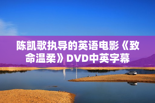 陈凯歌执导的英语电影《致命温柔》DVD中英字幕
