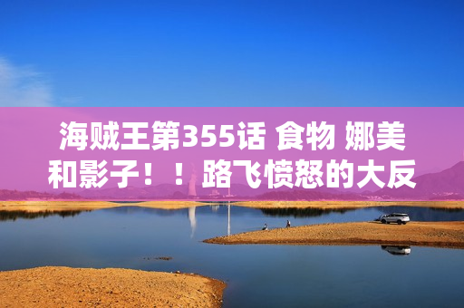 海贼王第355话 食物 娜美和影子！！路飞愤怒的大反击