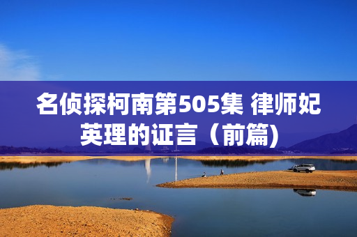 名侦探柯南第505集 律师妃英理的证言（前篇)