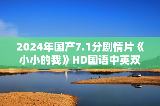 2024年国产7.1分剧情片《小小的我》HD国语中英双字