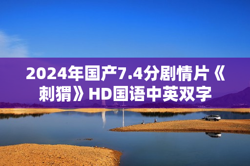 2024年国产7.4分剧情片《刺猬》HD国语中英双字