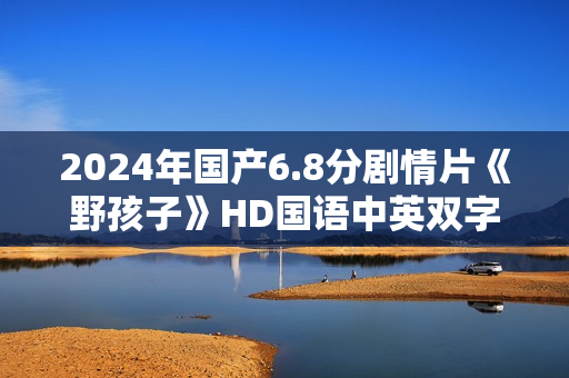 2024年国产6.8分剧情片《野孩子》HD国语中英双字