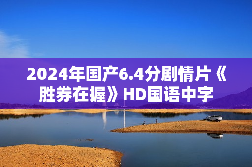 2024年国产6.4分剧情片《胜券在握》HD国语中字