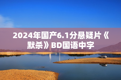 2024年国产6.1分悬疑片《默杀》BD国语中字