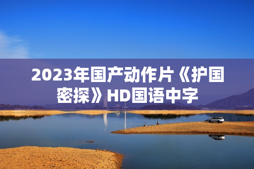 2023年国产动作片《护国密探》HD国语中字