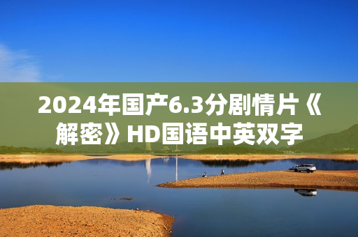 2024年国产6.3分剧情片《解密》HD国语中英双字