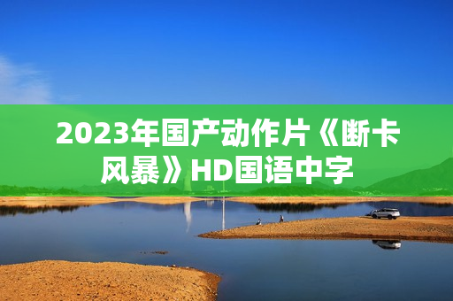 2023年国产动作片《断卡风暴》HD国语中字