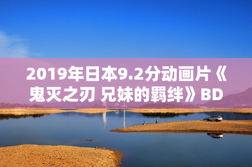 2019年日本9.2分动画片《鬼灭之刃 兄妹的羁绊》BD日语中字
