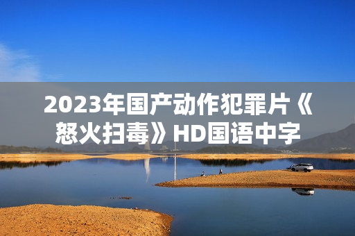 2023年国产动作犯罪片《怒火扫毒》HD国语中字