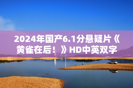 2024年国产6.1分悬疑片《黄雀在后！》HD中英双字