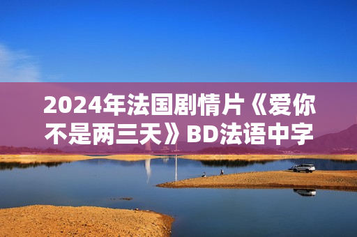 2024年法国剧情片《爱你不是两三天》BD法语中字