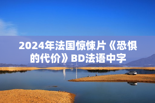2024年法国惊悚片《恐惧的代价》BD法语中字