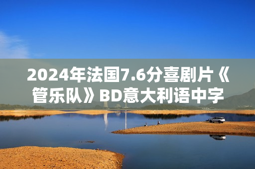 2024年法国7.6分喜剧片《管乐队》BD意大利语中字
