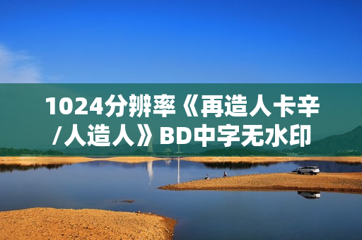 1024分辨率《再造人卡辛/人造人》BD中字无水印
