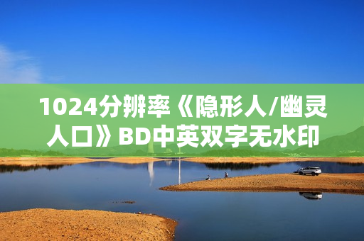1024分辨率《隐形人/幽灵人口》BD中英双字无水印