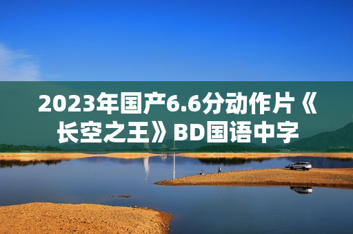 2023年国产6.6分动作片《长空之王》BD国语中字
