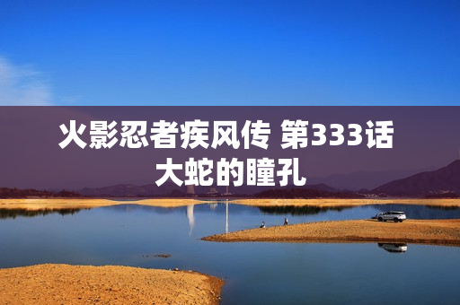 火影忍者疾风传 第333话 大蛇的瞳孔