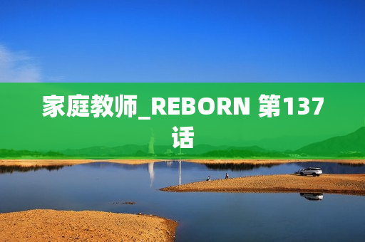 家庭教师_REBORN 第137话