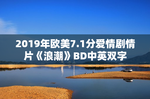 2019年欧美7.1分爱情剧情片《浪潮》BD中英双字
