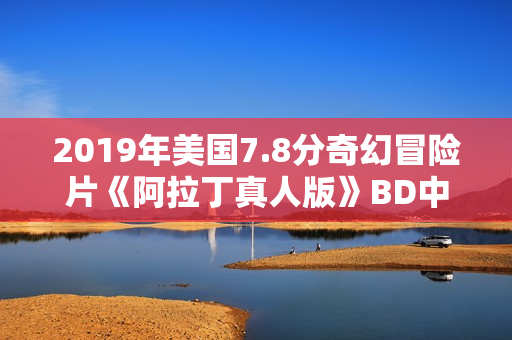 2019年美国7.8分奇幻冒险片《阿拉丁真人版》BD中英双字