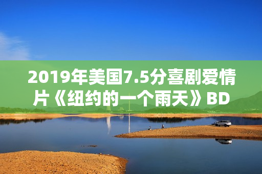 2019年美国7.5分喜剧爱情片《纽约的一个雨天》BD中字