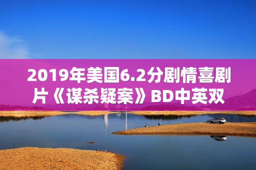 2019年美国6.2分剧情喜剧片《谋杀疑案》BD中英双字