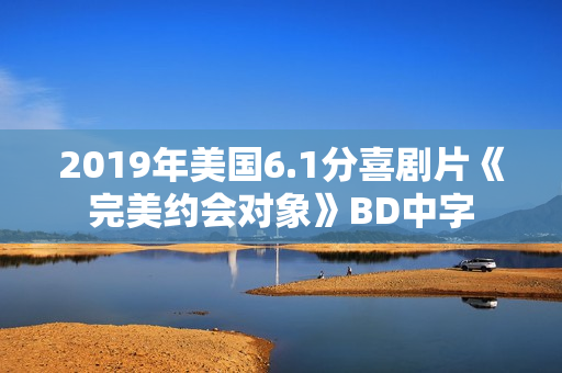 2019年美国6.1分喜剧片《完美约会对象》BD中字