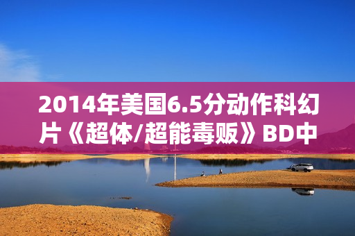 2014年美国6.5分动作科幻片《超体/超能毒贩》BD中英双字