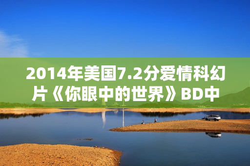 2014年美国7.2分爱情科幻片《你眼中的世界》BD中英双字