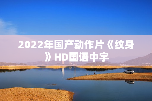 2022年国产动作片《纹身》HD国语中字