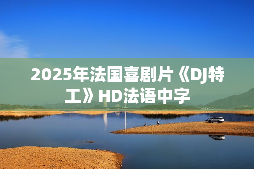 2025年法国喜剧片《DJ特工》HD法语中字