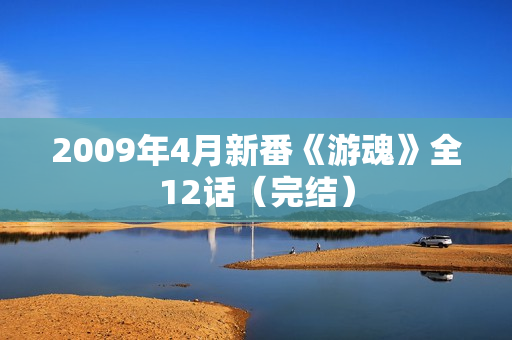 2009年4月新番《游魂》全12话（完结）