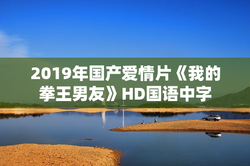 2019年国产爱情片《我的拳王男友》HD国语中字