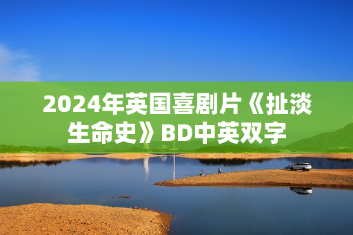 2024年英国喜剧片《扯淡生命史》BD中英双字