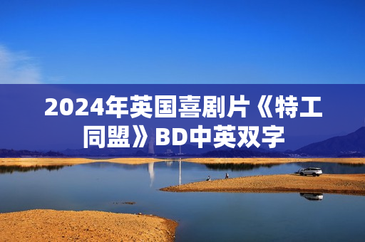 2024年英国喜剧片《特工同盟》BD中英双字