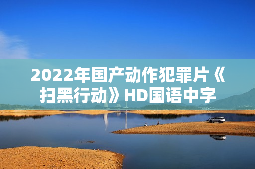 2022年国产动作犯罪片《扫黑行动》HD国语中字