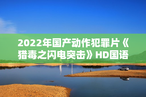 2022年国产动作犯罪片《猎毒之闪电突击》HD国语中字