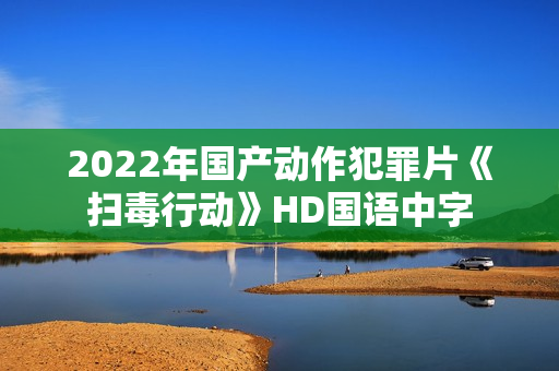 2022年国产动作犯罪片《扫毒行动》HD国语中字