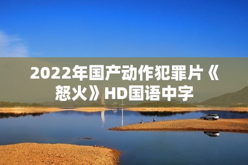2022年国产动作犯罪片《怒火》HD国语中字