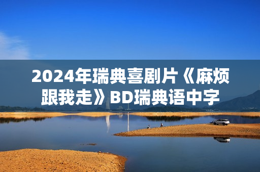 2024年瑞典喜剧片《麻烦跟我走》BD瑞典语中字