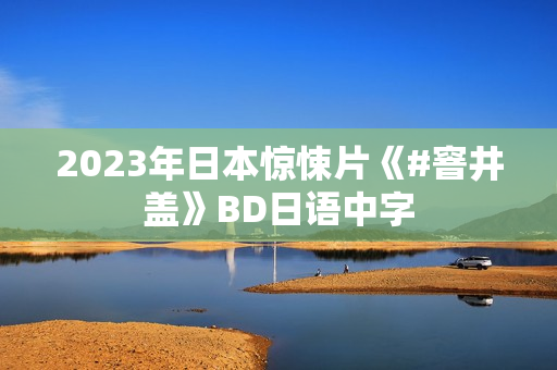 2023年日本惊悚片《#窨井盖》BD日语中字