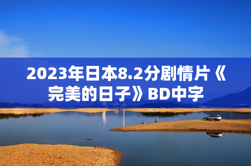 2023年日本8.2分剧情片《完美的日子》BD中字