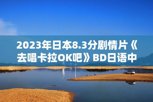 2023年日本8.3分剧情片《去唱卡拉OK吧》BD日语中字