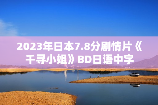 2023年日本7.8分剧情片《千寻小姐》BD日语中字