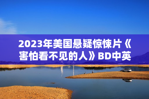 2023年美国悬疑惊悚片《害怕看不见的人》BD中英双字