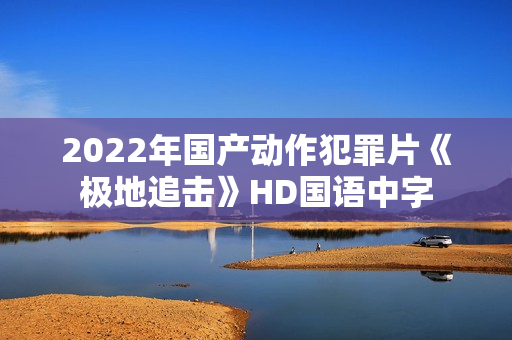 2022年国产动作犯罪片《极地追击》HD国语中字