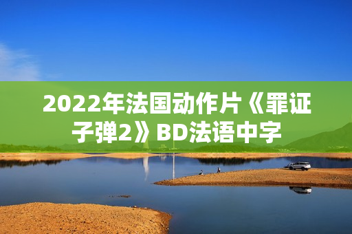2022年法国动作片《罪证子弹2》BD法语中字