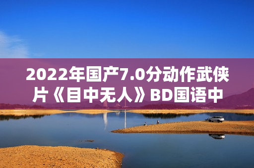2022年国产7.0分动作武侠片《目中无人》BD国语中英双字