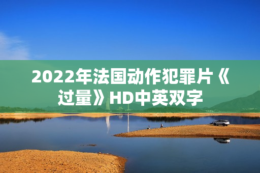 2022年法国动作犯罪片《过量》HD中英双字